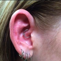 An ear with a daith piercing and five lobe piercings