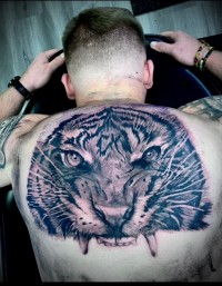 A large photorealistic tattoo of a tiger head across a man's back
