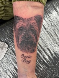 black and grey portrait tattoo of a border collie dog