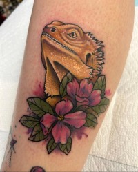 neo-traditional color tattoo of a bearded dragon