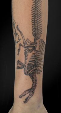 illustrative black and grey tattoo of a spinosaurus