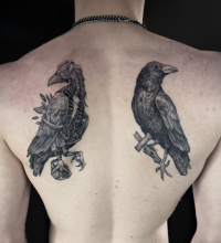 illustrative black and grey tattoo of two crows on the shoulder blades