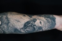 black and grey realism tattoo of two wolves