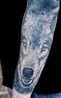 black and grey realism tattoo of wolf